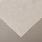 Материал укрывной, 10 × 3.2 м, плотность 17 г/м², с УФ-стабилизатором, белый, «Агротекс» - Фото 1