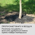 Круг приствольный, d = 0,4 м, плотность 60 г/м², спанбонд с УФ-стабилизатором, набор 5 шт., чёрный, Greengo, Эконом 20% - Фото 6