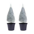 Чехол для укрытия растений, конус на завязках, 100 × 89 см, спанбонд с УФ-стабилизатором, плотность 60 г/м², набор 2 шт., белый - Фото 1