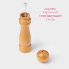 Мельница для специй Доляна «Дуновение леса», 21×4.5 см, керамический механизм, бежевая - Фото 2