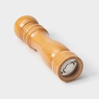 Мельница для специй Доляна «Дуновение леса», 21×4.5 см, керамический механизм, бежевая - Фото 7