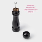 Мельница для специй Доляна «Дуновение леса», 21×4.5 см, керамический механизм, чёрная - Фото 2