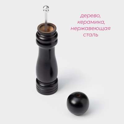 Мельница для специй Доляна «Дуновение леса», 21×4.5 см, керамический механизм, чёрная
