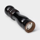 Мельница для специй Доляна «Дуновение леса», 21×4.5 см, керамический механизм, чёрная - Фото 6