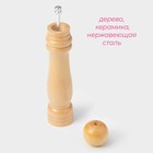 Мельница для специй Доляна «Дуновение леса», 25×4.8 см, керамический механизм, бежевая - Фото 2