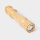 Мельница для специй Доляна «Дуновение леса», 25×4.8 см, керамический механизм, бежевая - Фото 6