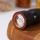 Мельница для специй Доляна «Дуновение леса», 26.5×4.5 см, керамический механизм, цвет чёрный - Фото 3