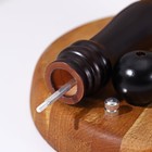 Мельница для специй Доляна «Дуновение леса», 26.5×4.5 см, керамический механизм, цвет чёрный - Фото 2