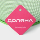 Крышка - сетка для продуктов Доляна «Вкус», d=21 см, МИКС - Фото 4