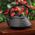 Чайник чугунный Доляна «Джана», 900 мл, с ситом, цвет чёрный - фото 8342246