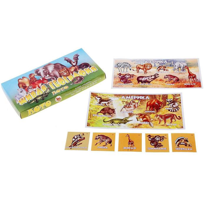 Лото «Живая география» - Фото 1