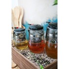 Заварочный чайник Magistro «Мехико», 500 мл, пластиковое сито, стекло - Фото 10