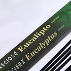Благовония HEM "Eucalyptus. Эвкалипт ", 20 палочек в упаковке, шестигранник - фото 9968238