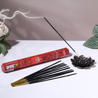 Благовония HEM "Frannkincense. Ладан", 20 палочек в упаковке, шестигранник - Фото 1