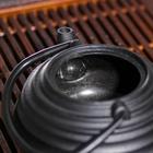 Чайник чугунный Доляна «Атьяф», 700 мл, с ситом, цвет чёрный - Фото 3