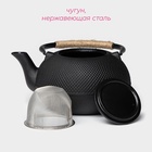 Чайник Доляна «Восточная ночь», 1.6 л, с ситом, индукция, чугун, чёрный - Фото 2
