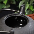 Чайник чугунный Доляна «Восточная ночь», 1,6 л, с ситом, цвет чёрный - Фото 3