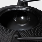 Чайник Доляна «Восточная ночь», 1.6 л, с ситом, индукция, чугун, чёрный - Фото 4