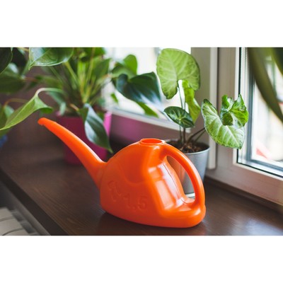 Лейка, 1.5 л, без рассеивателя, цвет МИКС