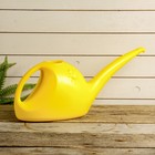 Лейка, 3 л, без рассеивателя, цвет МИКС - Фото 2