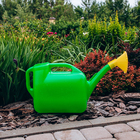 Лейка, 6.5 л, с рассеивателем, носик d=25 мм, цвет МИКС - Фото 6