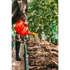 Лейка, 6.5 л, с рассеивателем, носик d=25 мм, цвет МИКС - Фото 7