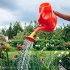 Лейка, 8 л, с рассеивателем, носик d=25 мм, цвет МИКС - Фото 12