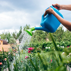 Лейка, 10 л, с рассеивателем, носик d=25 мм, цвет МИКС - Фото 9