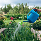 Лейка, 10 л, с рассеивателем, носик d=25 мм, цвет МИКС - Фото 11