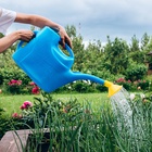 Лейка, 12 л, с рассеивателем, носик d=30 мм, цвет МИКС - Фото 9