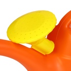 Лейка, 12 л, с рассеивателем, носик d=30 мм, цвет МИКС - Фото 7