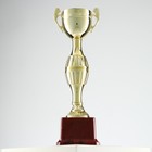 Кубок 042С, наградная фигура, золото, подставка пластик, 7,5 × 9 × 26,5 см - фото 9821819
