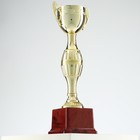 Кубок 042С, наградная фигура, золото, подставка пластик, 7,5 × 9 × 26,5 см - фото 9821820