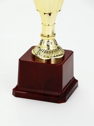 Кубок 042С, наградная фигура, золото, подставка пластик, 26.2×8.7×7.5 см