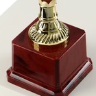 Кубок 042С, наградная фигура, золото, подставка пластик, 7,5 × 9 × 26,5 см - фото 9821821
