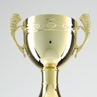 Кубок 042С, наградная фигура, золото, подставка пластик, 7,5 × 9 × 26,5 см - фото 9821823