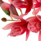 цветы искусственные орхидея 55 см d-6 см изящество - Фото 3