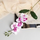 Цветы искусственные "Орхидея пышность" 60 см, белый - Фото 1