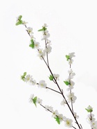 Цветы искусственные «Сакура нежность», h=105 см, белые - Фото 5
