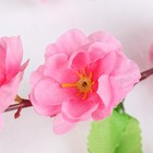 Цветы искусственные "Сакура нежность" 105 см, розовый - Фото 2