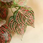 Букет искусственный «Фитония», h=30 см, МИКС (комплект 2 шт) - фото 23224692