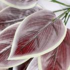 Букет "Арум" 30 см, микс (комплект 2 шт) - фото 24378838