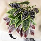 Букет "Арум" 30 см, микс (комплект 2 шт) - фото 24378839