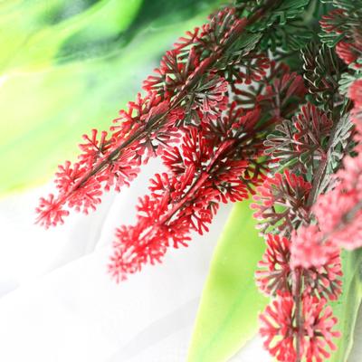 Букет "Амарант хвостатый" 35 см, микс