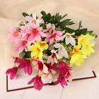 Букет искусственный «Безвременник», h=30 см, МИКС (комплект 2 шт) - фото 23210831