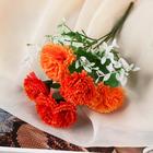 Букет "Яркая гвоздика" 28 см, микс 5378602