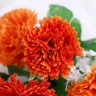 Букет "Яркая гвоздика" 28 см, микс 5378602