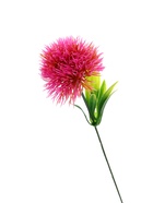 Цветы искусственные «Цирзий», 5×28 см, МИКС  (артикул 5378789)  большой выбор товаров оптом и в розницу по низким ценам с доставкой