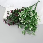 Букет искусственный «Осенние зонтики», h=30 см, МИКС (комплект 2 шт) - фото 24532599