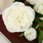 Цветы искусственные "Пион травянистый" 10х90 см, белый - фото 41803546